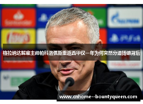 格拉纳达解雇主帅帕科洛佩斯重返西甲仅一年为何突然分道扬镳背后 格拉纳达解雇主帅帕科洛佩斯重返西甲仅一年为何突然分道扬镳背后