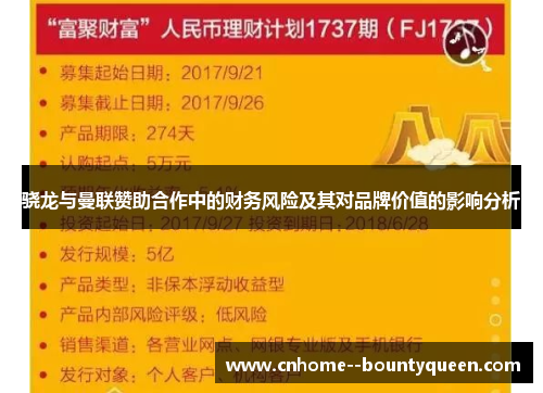 骁龙与曼联赞助合作中的财务风险及其对品牌价值的影响分析 骁龙与曼联赞助合作中的财务风险及其对品牌价值的影响分析