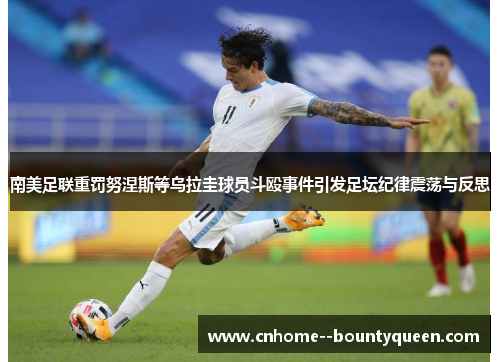 南美足联重罚努涅斯等乌拉圭球员斗殴事件引发足坛纪律震荡与反思